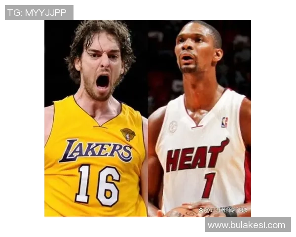 富保罗直言热火三巨头不成立波什未达特权级别引发热议